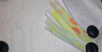 Tulips, working papers