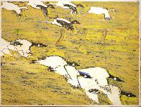 A Medum of Canadian Geese