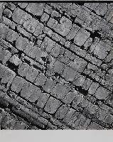 Closely Spaced Joints Near Road Junction #3 - Banff National Park