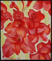 Gladiola
