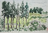Beacon Hill Park