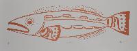 Lingcod
