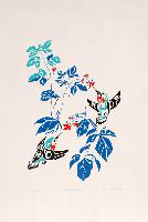 Hummingbirds