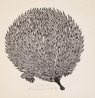 Native Porcupine