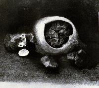 Driftwood Bowl