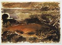 Untitled (Sockeye)