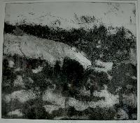 Pear Orchard