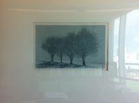 Four Trees- Winter
