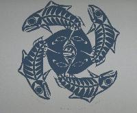 Life Cycle Of Salmon