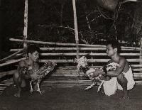 Untitled (Photograph)