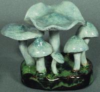 Clitocybe Odora