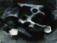 Driftwood Holes